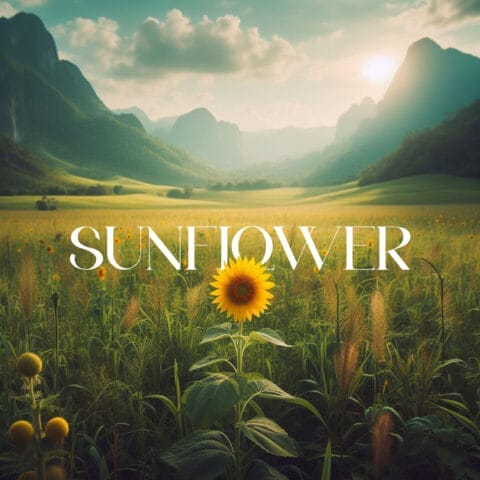 Lirik Lagu Im Hafidz - Sunflower