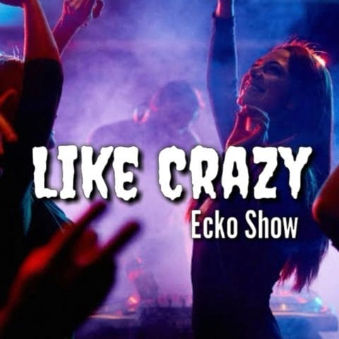 Lirik Lagu Ecko Show Like Crazy